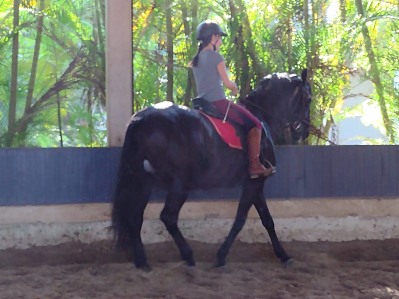 WhatsApp Image 2021-09-28 at 21.05.05.jpeg