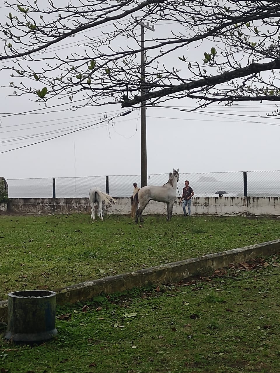 WhatsApp Image 2021-09-21 at 16.50.30.jpeg